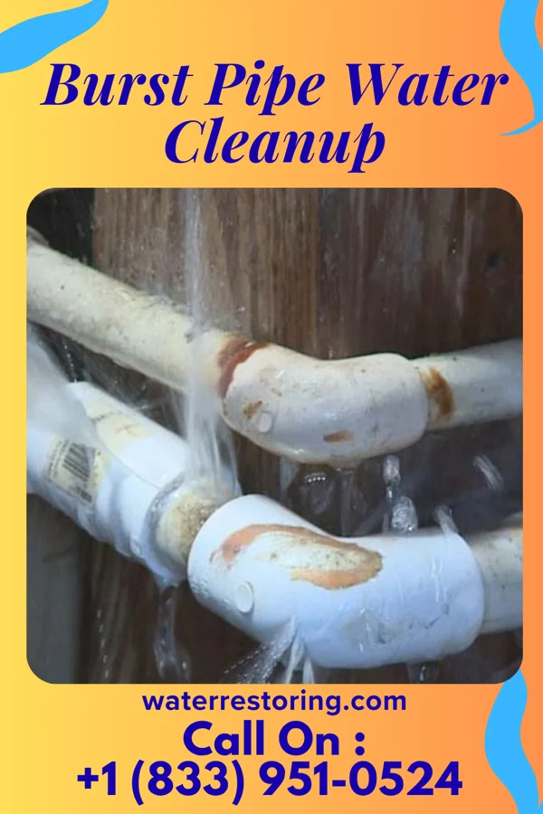 Burst Pipe Water Cleanup in Depew, NY