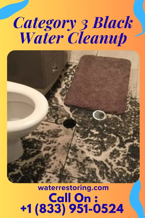 Category 3 Black Water Cleanup in Depew, NY