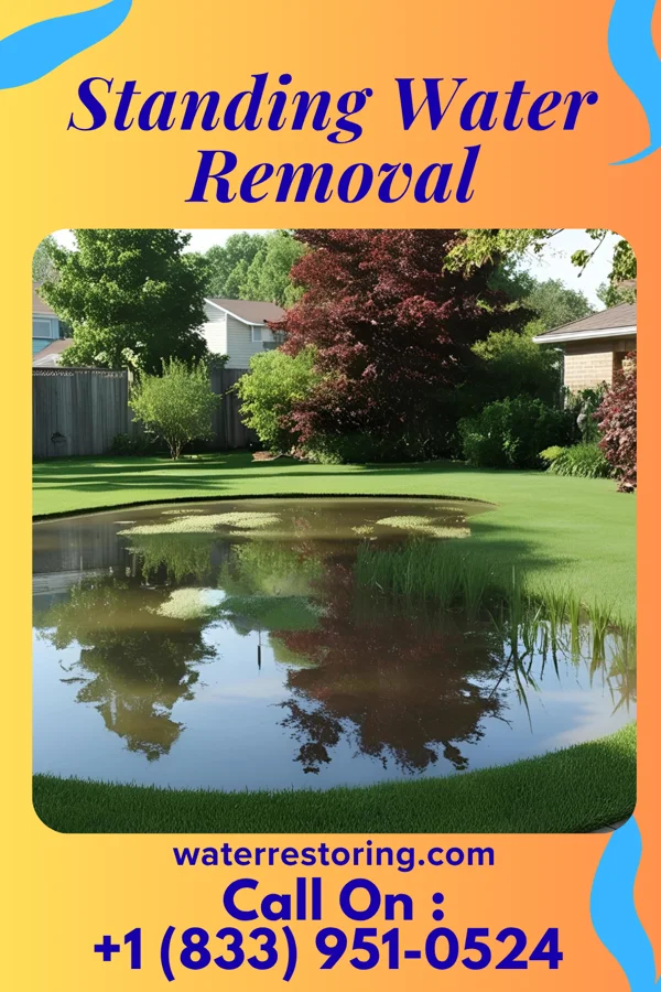 Standing Water Removal in Depew, NY